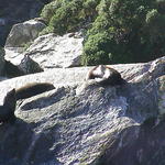 dsc00011.jpg