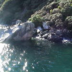dsc00012.jpg