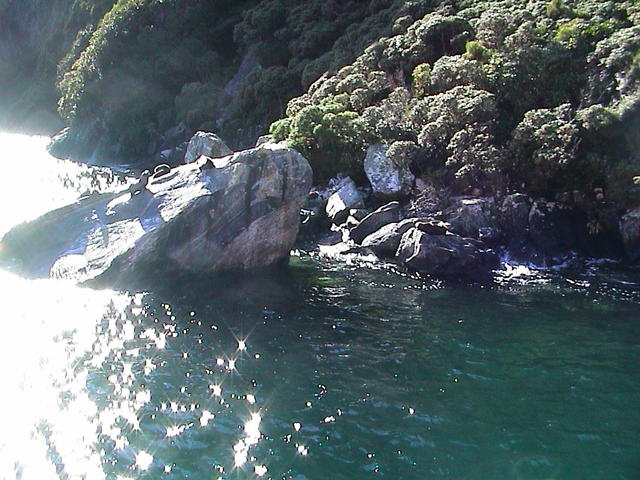 dsc00012.jpg