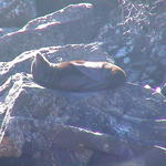 dsc00013.jpg