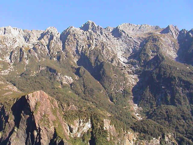 dsc00015.jpg