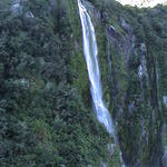 dsc00017.jpg