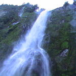 dsc00019.jpg