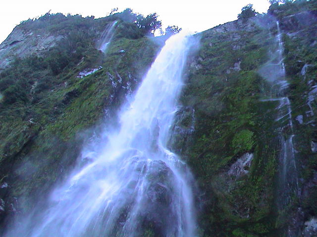 dsc00019.jpg