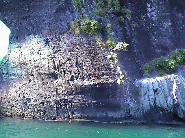 dsc00024.jpg