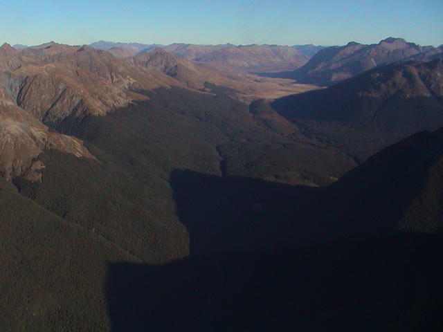 dsc00058.jpg