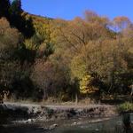 dsc00078.jpg