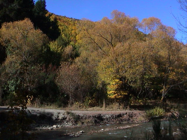 dsc00078.jpg