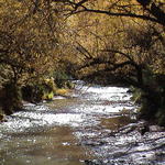 dsc00079.jpg