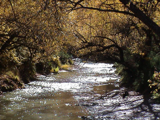 dsc00079.jpg