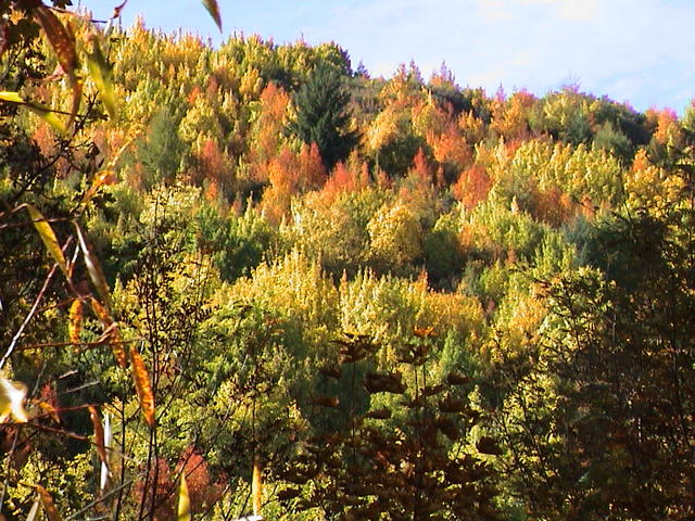 dsc00080.jpg