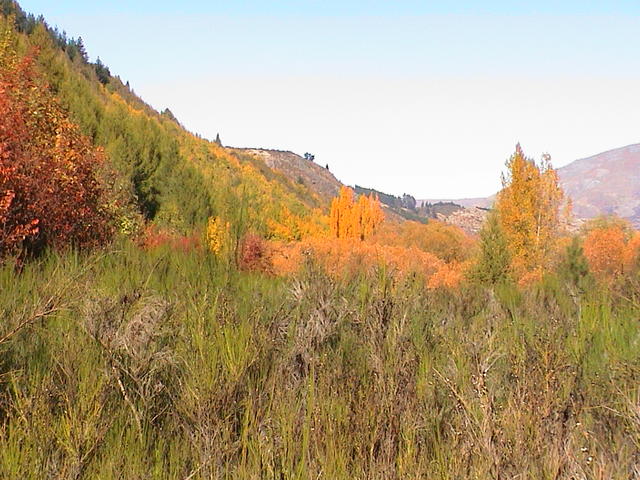 dsc00081.jpg
