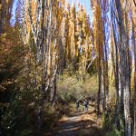 dsc00083.jpg