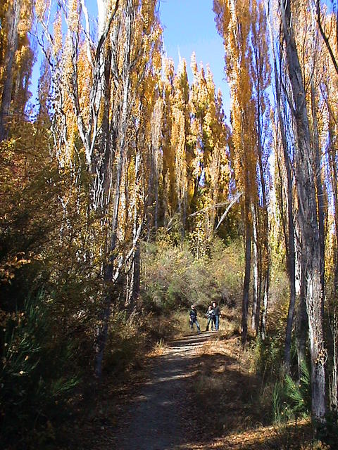 dsc00083.jpg