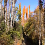 dsc00084.jpg