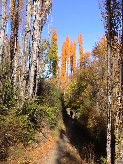 dsc00084.jpg