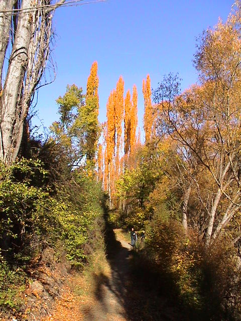 dsc00085.jpg