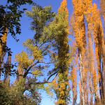 dsc00086.jpg