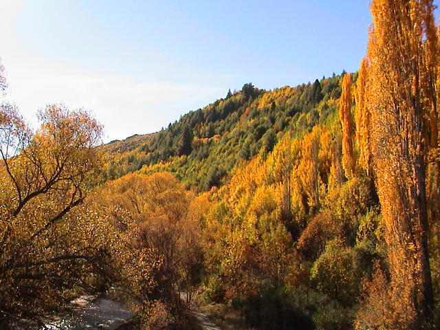 dsc00087.jpg