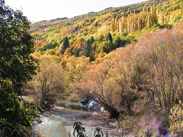 dsc00089.jpg