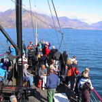dsc00094.jpg