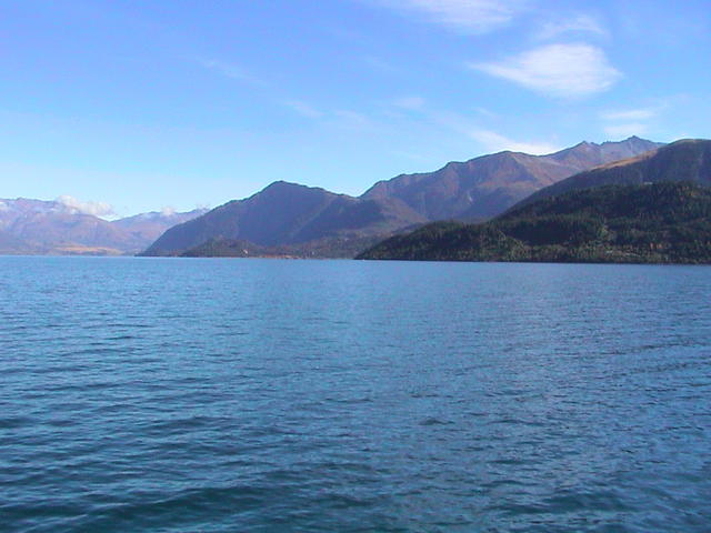 dsc00101.jpg