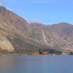 dsc00116.jpg