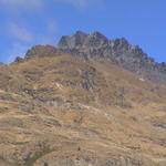 dsc00117.jpg
