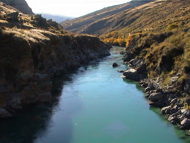 dsc00133.jpg