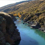 dsc00134.jpg