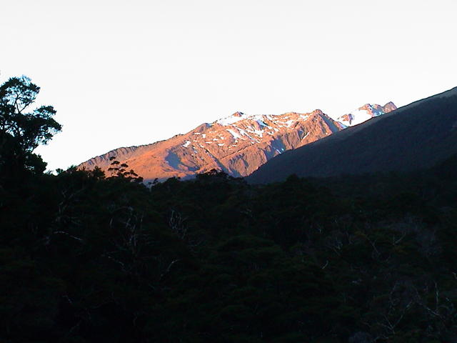 dsc00140.jpg