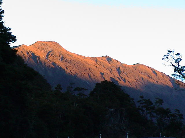 dsc00141.jpg