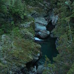 dsc00142.jpg