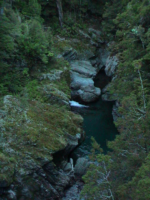 dsc00142.jpg