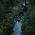 dsc00143.jpg