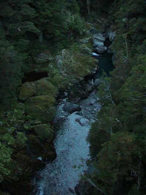 dsc00143.jpg