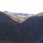 dsc00149.jpg
