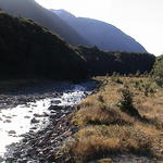 dsc00156.jpg