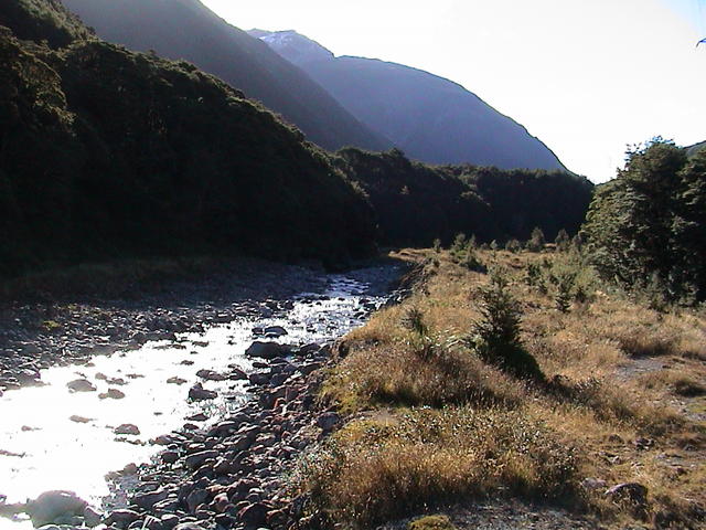 dsc00156.jpg