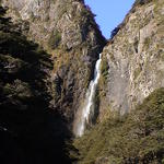 dsc00158.jpg