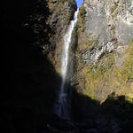 dsc00161.jpg