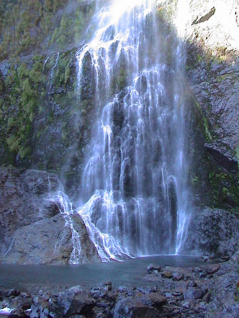 dsc00163.jpg