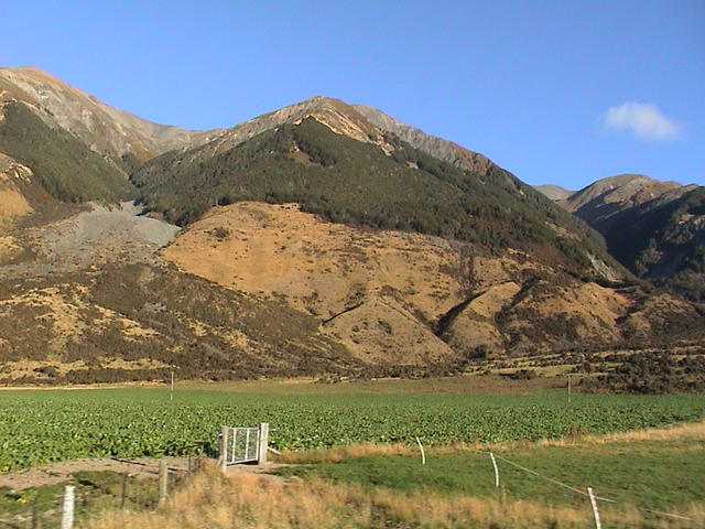 dsc00168.jpg