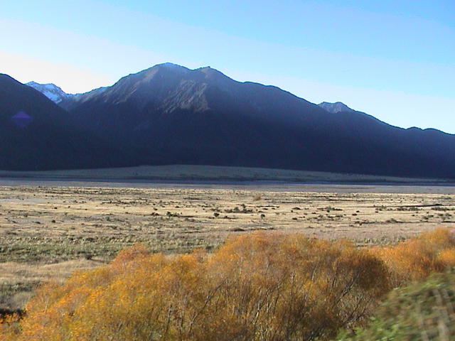 dsc00169.jpg