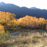 dsc00172.jpg