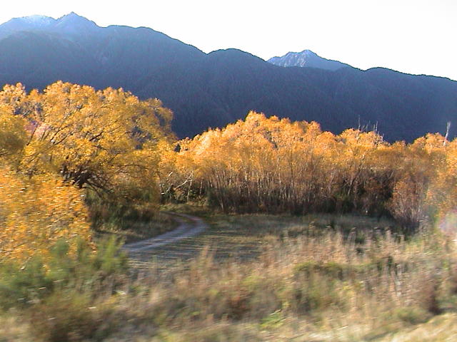 dsc00172.jpg