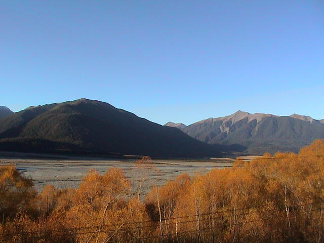 dsc00176.jpg