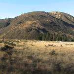 dsc00183.jpg