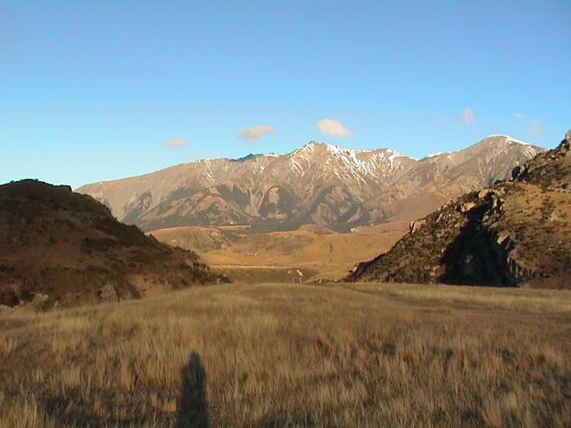 dsc00203.jpg