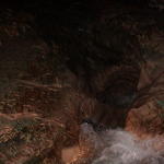 dsc00206.jpg